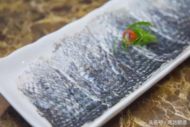 斑鱼火锅是什么鱼，斑鱼火锅的鱼是什么鱼（风靡深莞的斑鱼火锅现已驾临顺德乐从）