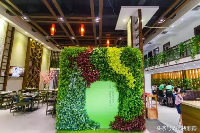 斑鱼火锅是什么鱼，斑鱼火锅的鱼是什么鱼（风靡深莞的斑鱼火锅现已驾临顺德乐从）