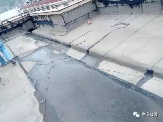 顶楼漏水怎么办，顶楼漏水怎么办装修公司（你家屋顶也可以种花、养鱼）