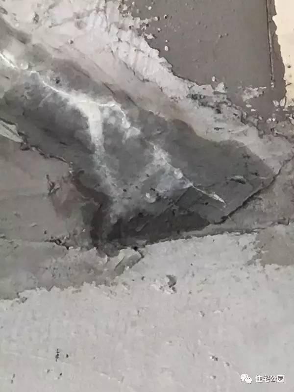 顶楼漏水怎么办，顶楼漏水怎么办装修公司（你家屋顶也可以种花、养鱼）