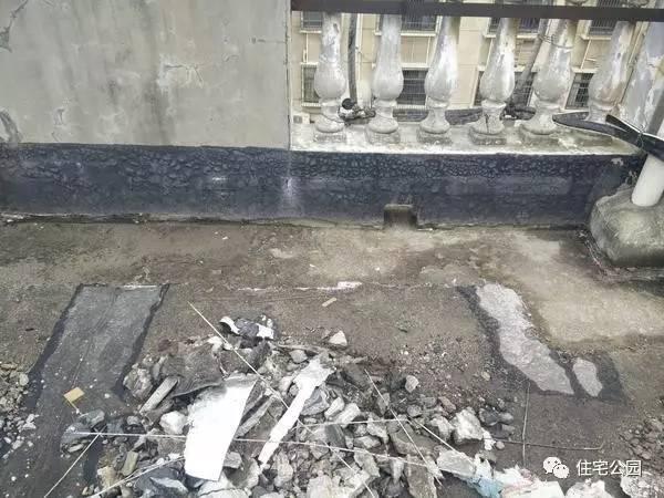 顶楼漏水怎么办，顶楼漏水怎么办装修公司（你家屋顶也可以种花、养鱼）