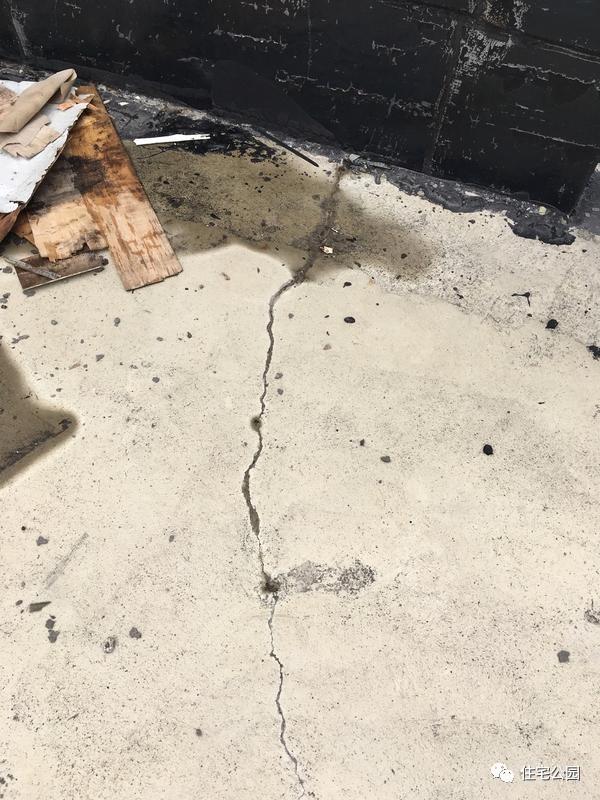 顶楼漏水怎么办，顶楼漏水怎么办装修公司（你家屋顶也可以种花、养鱼）