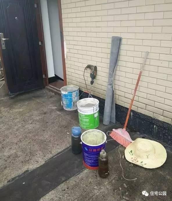 顶楼漏水怎么办，顶楼漏水怎么办装修公司（你家屋顶也可以种花、养鱼）
