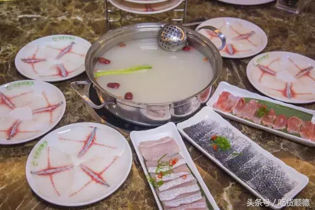 斑鱼火锅是什么鱼，斑鱼火锅的鱼是什么鱼（风靡深莞的斑鱼火锅现已驾临顺德乐从）