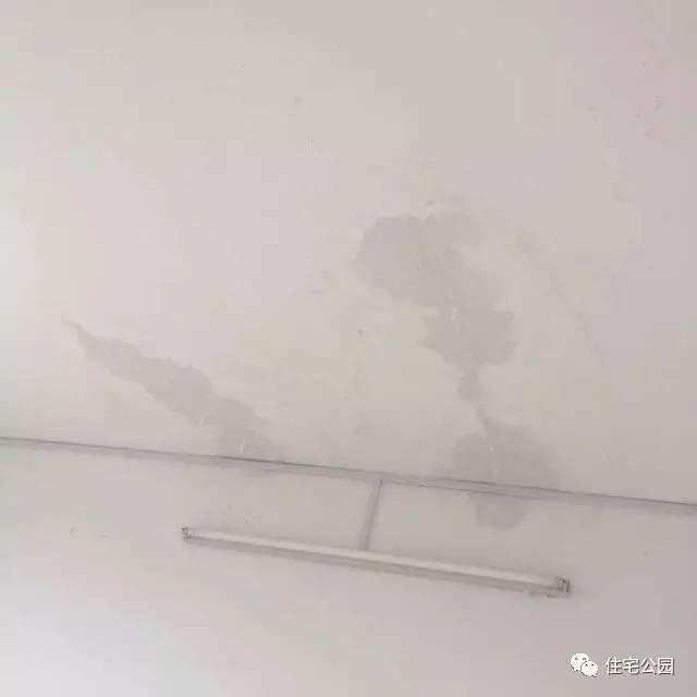 顶楼漏水怎么办，顶楼漏水怎么办装修公司（你家屋顶也可以种花、养鱼）