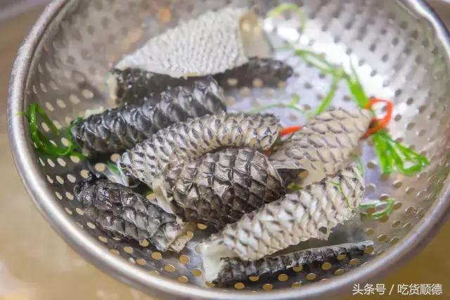 斑鱼火锅是什么鱼，斑鱼火锅的鱼是什么鱼（风靡深莞的斑鱼火锅现已驾临顺德乐从）