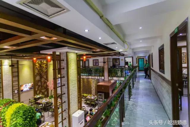 斑鱼火锅是什么鱼，斑鱼火锅的鱼是什么鱼（风靡深莞的斑鱼火锅现已驾临顺德乐从）