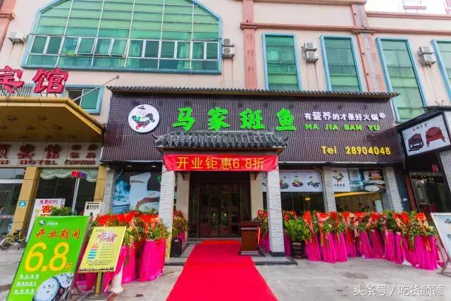 斑鱼火锅是什么鱼，斑鱼火锅的鱼是什么鱼（风靡深莞的斑鱼火锅现已驾临顺德乐从）