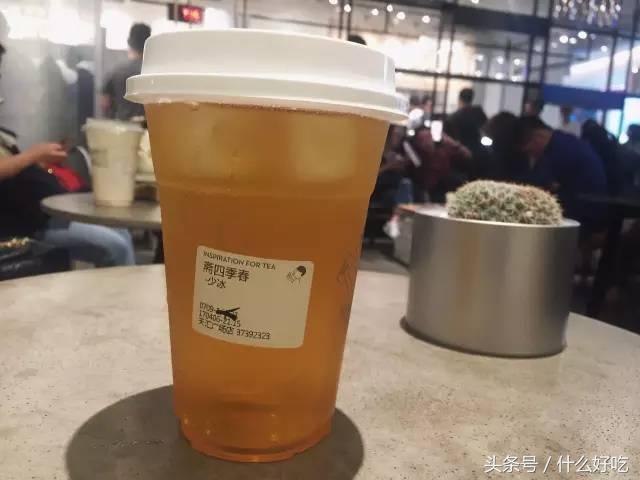 喜茶什么好喝的推荐，公认最好喝的十款奶茶（历时一个半月喝完31个品种）