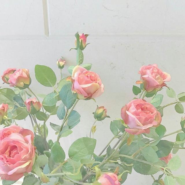 傲娇男头，微信头像，傲娇男头（傲娇是我的傲骨）