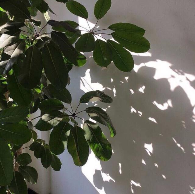 傲娇男头，微信头像，傲娇男头（傲娇是我的傲骨）