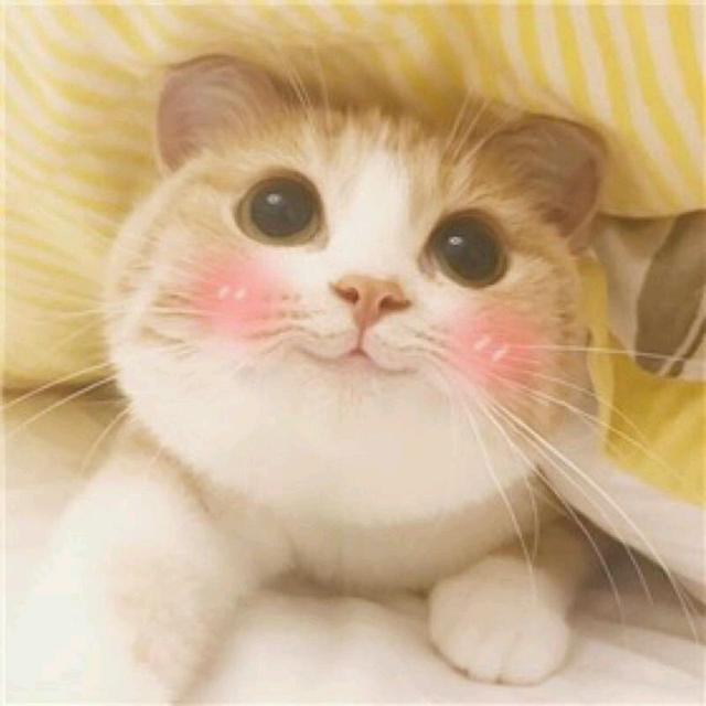 傲娇男头，微信头像，傲娇男头（傲娇是我的傲骨）