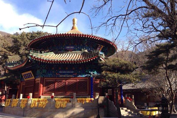 柘树怎么读，柘树枝的读音（15个我们习以为常但一直读错的地名）