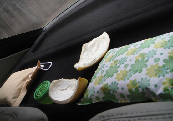 新车异味大如何除异味，新车去除甲醛最好方法（怎样做到快速有效的除异味呢）