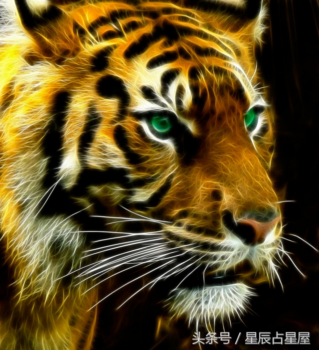 惊天动地打一生肖，惊天动地打一肖（此时出生的生肖虎尽享荣华富贵）