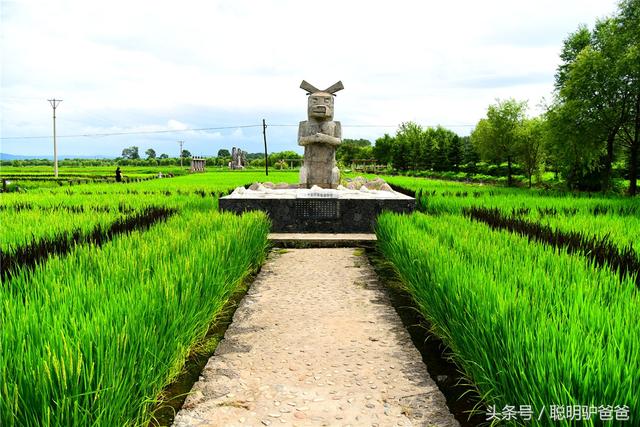 贡米是什么米，月子贡米是什么米（世界上最好吃的大米竟然不是泥土中生长出来的）