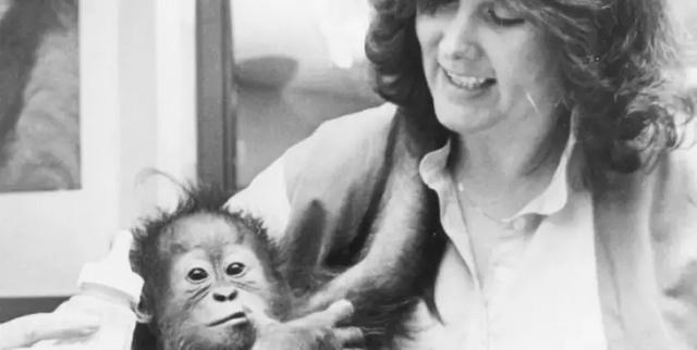 多妈简笔画叠起来的被子,儿童简笔画叠被子(试图成为人类却被囚禁30年) 多妈简笔画叠起来的被子,儿童简笔画叠被子(试图成为人类却被囚禁30年)