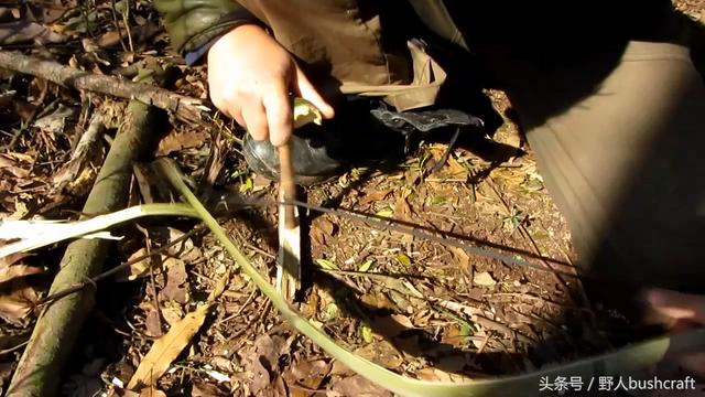 钻木取火怎么做，钻木取火怎么做到的用什么材料（快来学习钻木取火是不是真的）