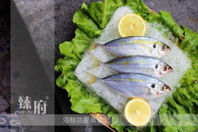 哪些人不能吃鳐鱼，一个小操作让鱼的汞含量翻了N倍