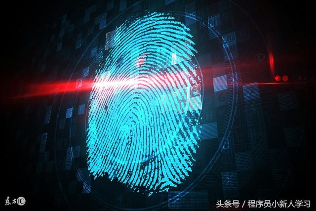 php是什么意思，php是python吗（PHP 简介）