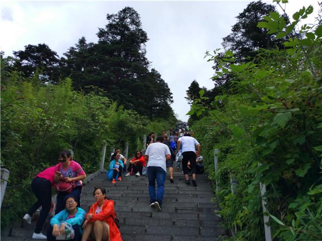 去神农架旅游需要准备什么，神农架自驾游准备哪些东西（史上最实用神农架自驾游攻略）