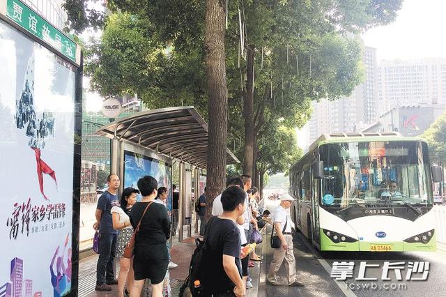 巴士的拼音，巴士的拼音怎么写（贾谊<yì>故居，你念对了吗）