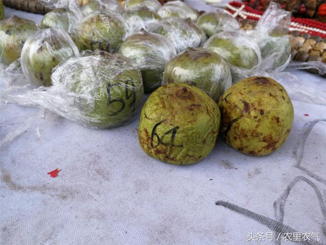 西红花多少钱一克，藏红花多少钱一克（30元一克的藏红花）