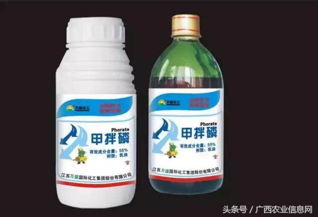杀虫脒中毒如何急救，杀虫脒中毒解救的措施有（农药常识必备——杀虫剂的分类与作用）
