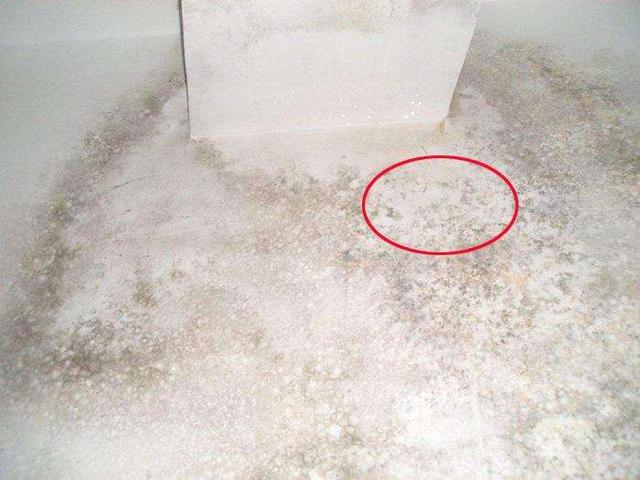 大理石返碱是什么引起的 大理石返碱处理流程，大理石返碱是什么引起的（老公一眼看出其中猫腻）