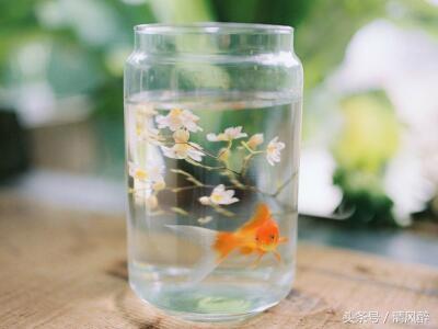 qq的个性签名大全，Qq个性签名大全（发QQ的励志个性签名）