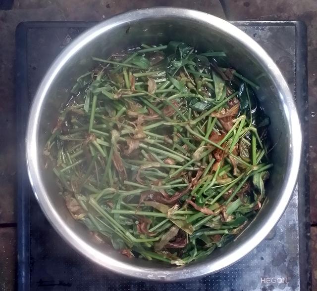 鸭跖草的功能简介，鸭跖草百度百科（天然染料——鸭跖草）