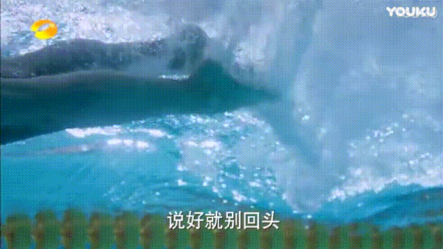 浪花一朵朵唐一白简历，宁泽涛孙杨粉丝大型撕X现场