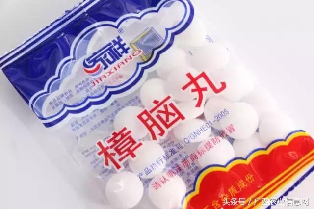 杀虫脒中毒如何急救，杀虫脒中毒解救的措施有（农药常识必备——杀虫剂的分类与作用）