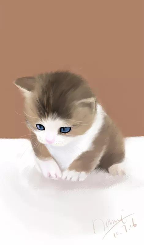 手绘猫图，手绘猫图片头像（手账素材丨可爱的小猫咪怎么画）