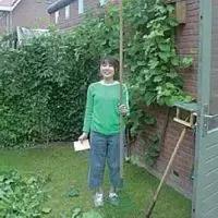 荷兰芹是什么菜，荷兰芹是什么菜做的（把平凡的生活过得新鲜有趣）