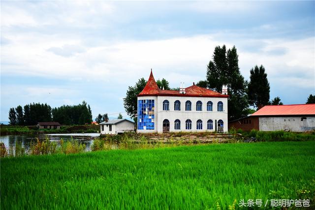 贡米是什么米，月子贡米是什么米（世界上最好吃的大米竟然不是泥土中生长出来的）