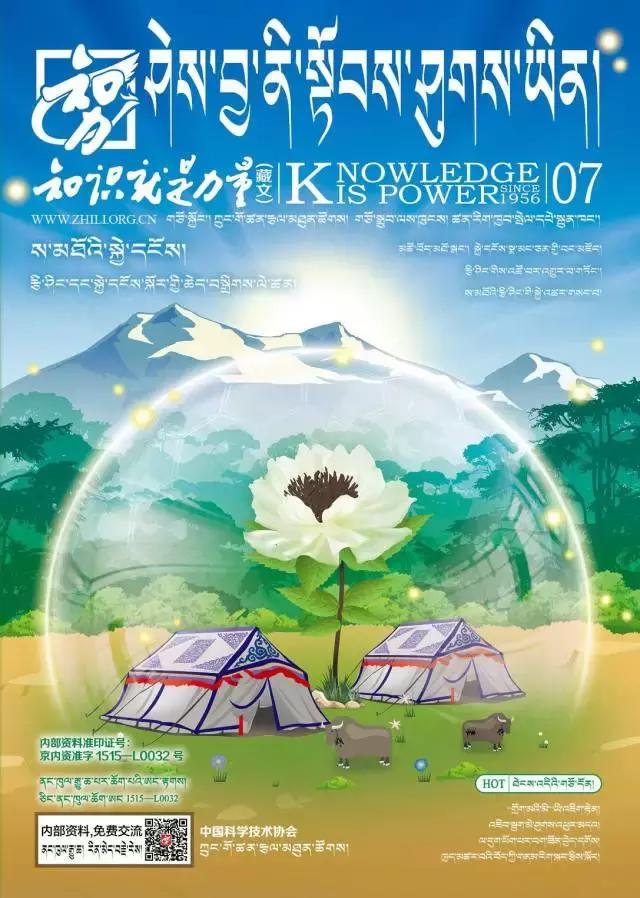 氆氇怎么读，氆氇，来自高原的编织密码