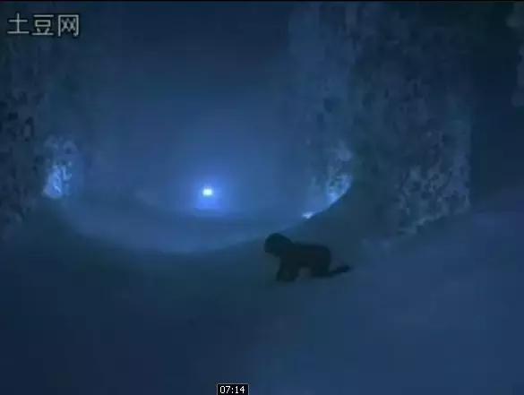 Murder微信昵称（谋杀）网名，Murder微信昵称（谋杀）微信昵称（恐怖电影《闪灵》）