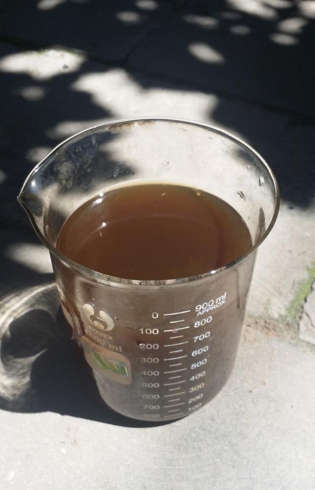 鸭跖草的功能简介，鸭跖草百度百科（天然染料——鸭跖草）