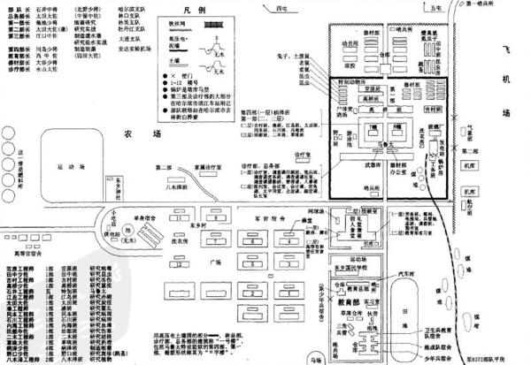 7319数字代表什么意思，数字代表的寓意（刽子手战后却尽享荣华富贵）