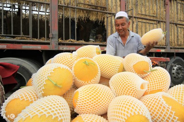 watermelon是什么意思，哈密瓜的三种英语表达