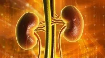 过敏性紫癜怎么治，过敏性紫癜怎么治疗能去根（过敏性紫癜的发病机理及理想的治疗方案）