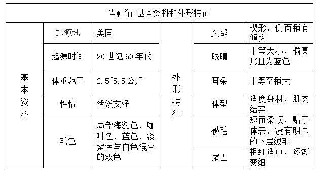 美国硬毛猫，养猫百科-带你认识猫的品种（美国硬毛猫和橘猫的区别）