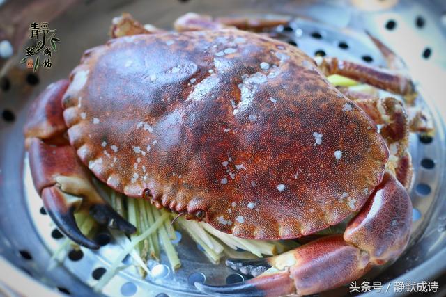 麵包蟹怎麼處理,麵包蟹怎麼吃(有黃又有肉)