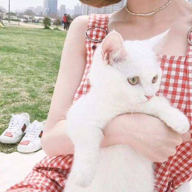 我有孤独和烈酒，我有孤独和烈酒下一句怎么接，微信头像（遇到你才渴望长命百岁）