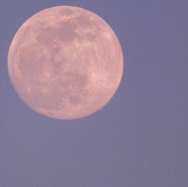 我有孤独和烈酒，我有孤独和烈酒下一句怎么接，微信头像（遇到你才渴望长命百岁）