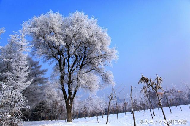东北最大的城市，东北城市规模排名（个个都有自己的特色与魅力）