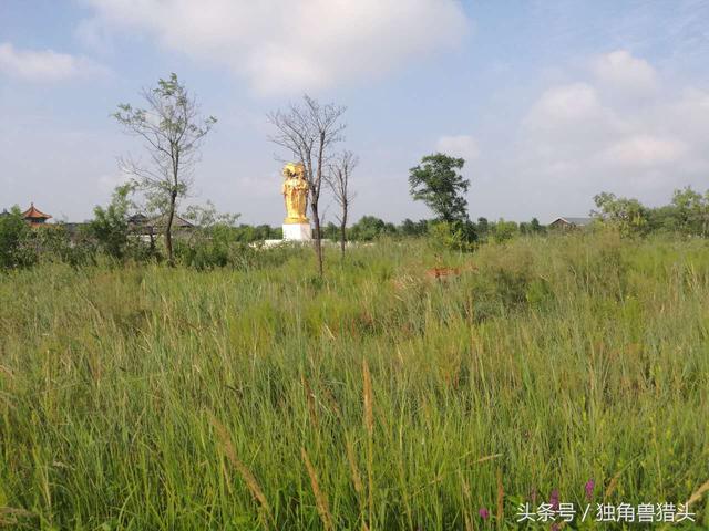 唐山菩提岛旅游攻略，唐山菩提岛旅游攻略及消费（唐山金沙岛浅水湾+菩提岛周末两日游攻略-独角兽猎头）