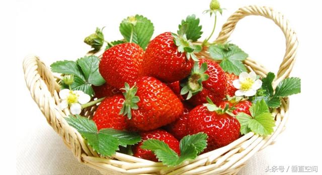 10g等于多少斤，g什么单位=多少斤（掌握了热量换算，减肥不再难）