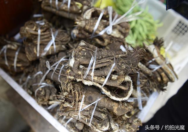 德钦县景点，迪庆德钦县十大旅游景点（深入香格里拉）